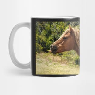 Assateague Pony Blowing Raspberries Mug